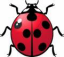 Lady bug 64.png